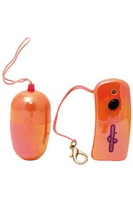 Vibrator Wireless Egg