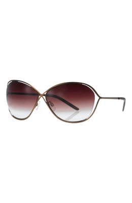 Saulesbrilles