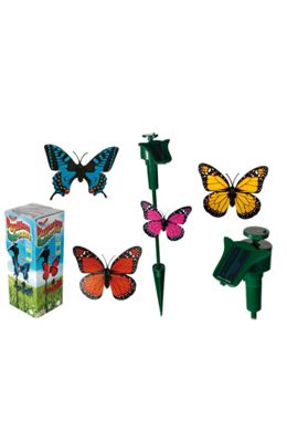 Fjäril Fluttering Butterfly